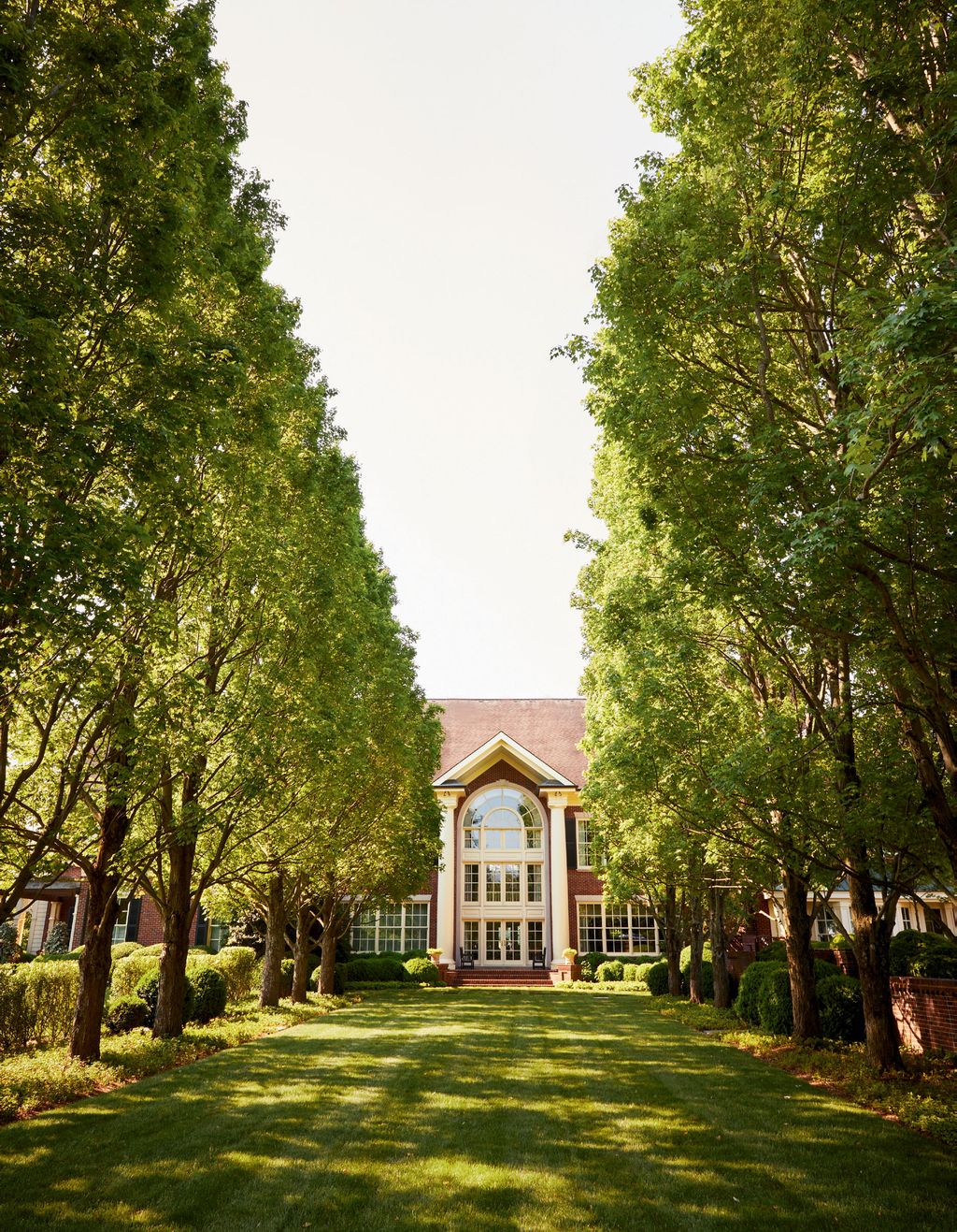 Image may contain Grass Plant Tree Outdoors and Lawn