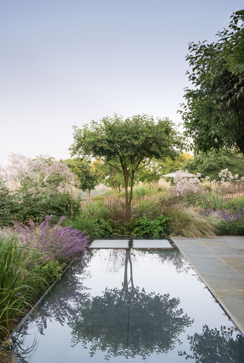 Image may contain Outdoors Nature Plant Water Vegetation Land Grass Tree and Yard