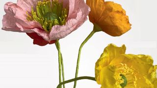 Affordable bedroom accessories from 20