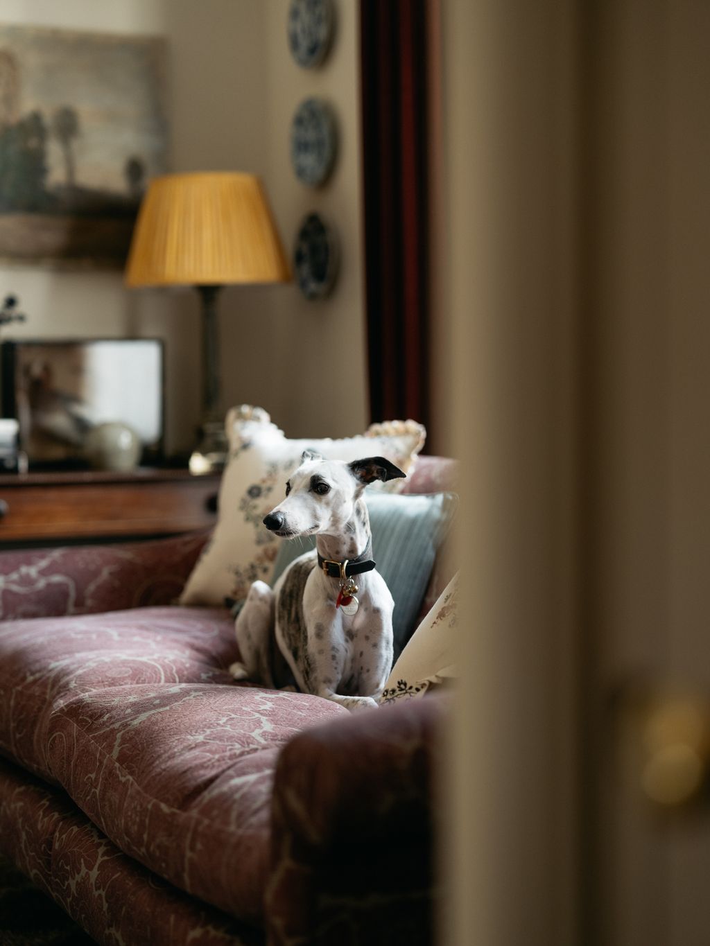 Charlottes dog Pig on an Arlo  Jacob sofa in the sitting room which is upholstered in Lewis  Woods ‘Nantes fabric.