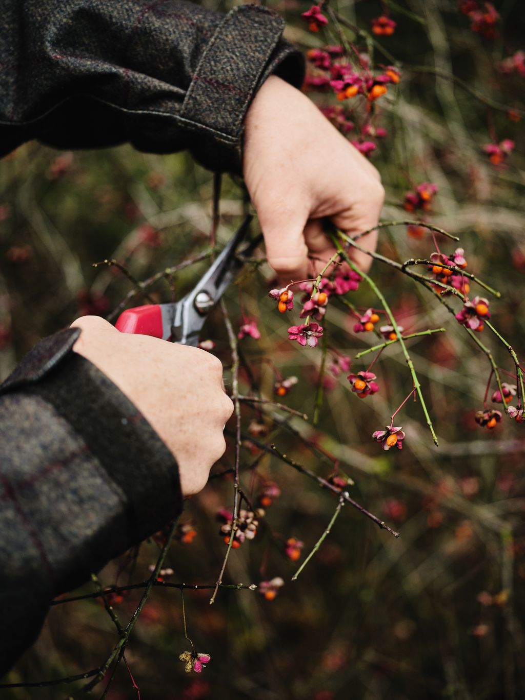 Foraging on a country walk.