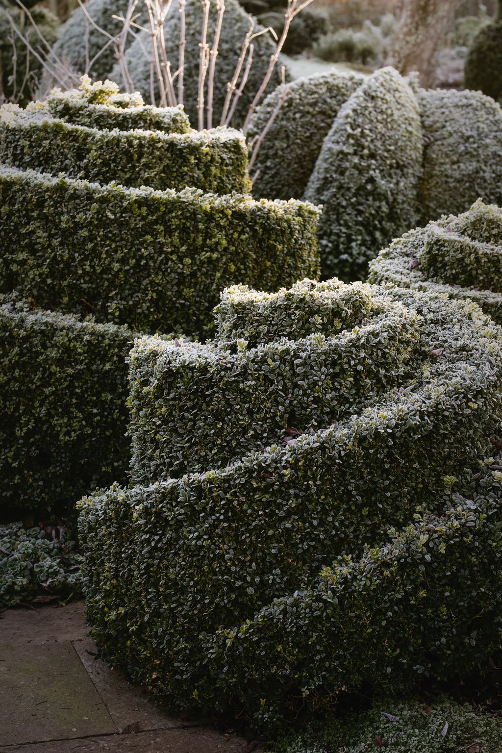 Box is cut at an angle to catch the light.