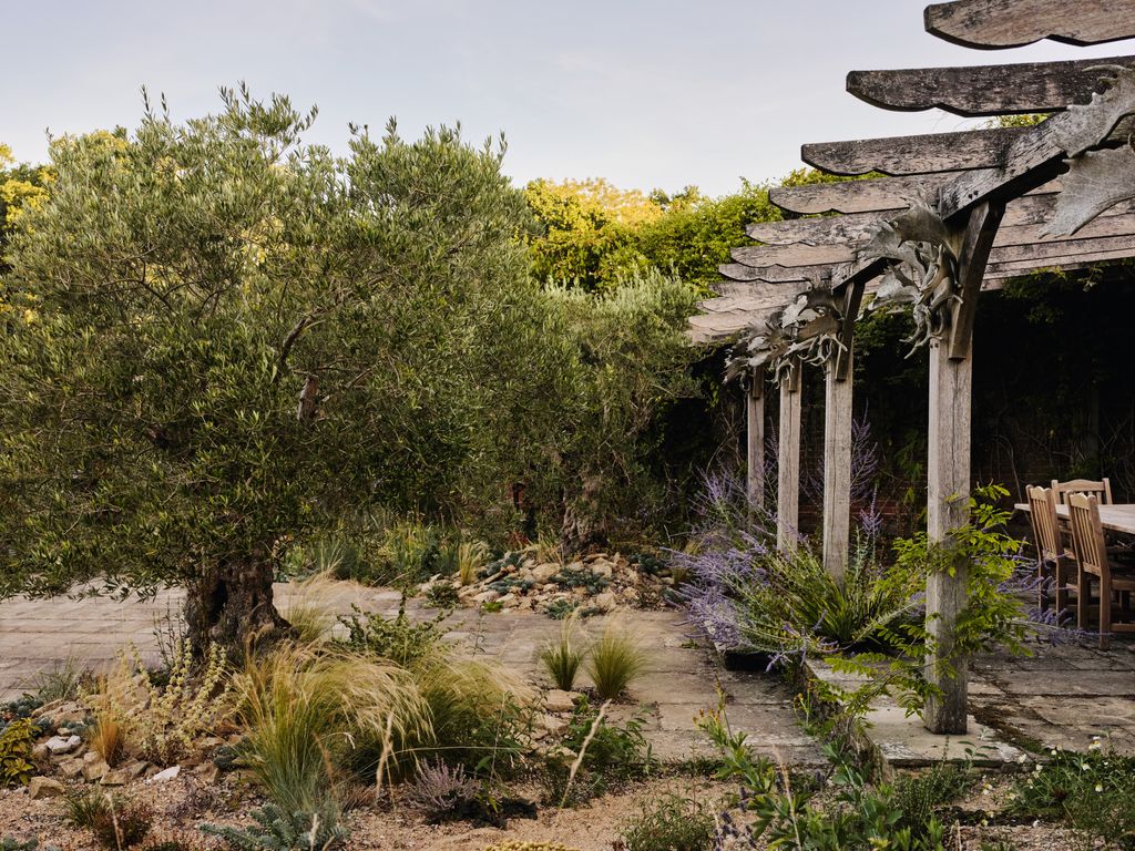 At one end an oak pavilion was retained along with three old olive trees. Rubble heaped around their bases offers a...