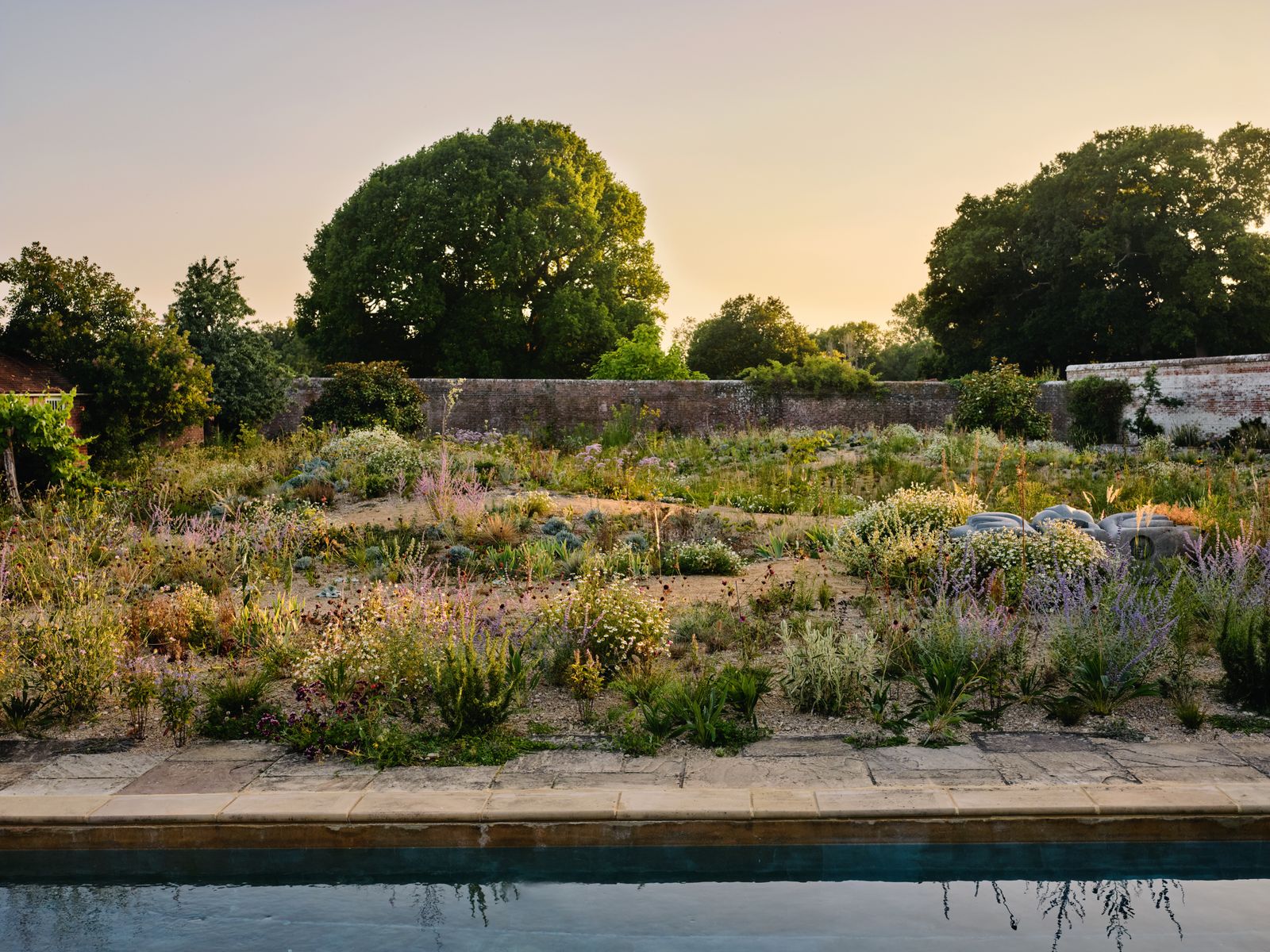 Part of the new walled garden at Knepp