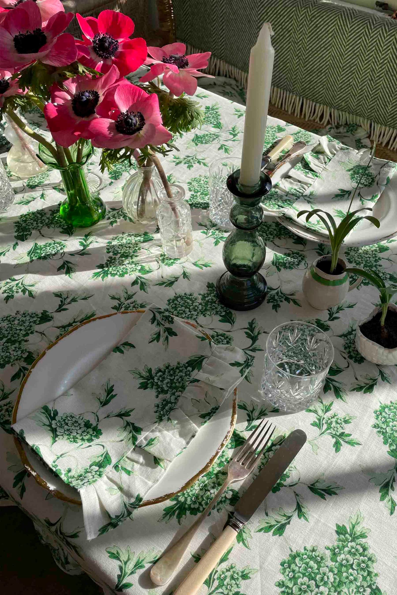 Yolke's hydrangea collection