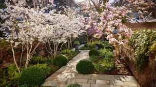 A secret London garden filled with magnificent magnolias