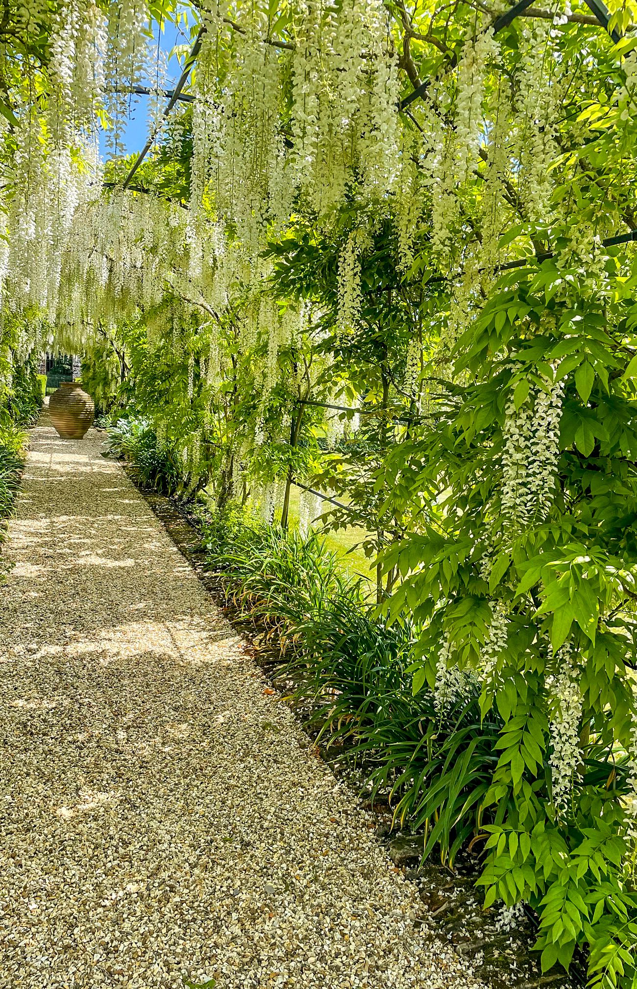 The Hampshire house where Jane Austen wrote Pride  Prejudice is up for sale