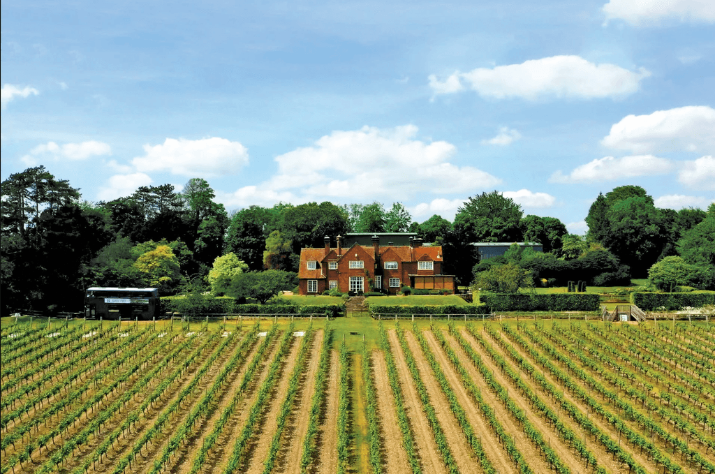 Not far from the Hampshire coast at Portsmouth is England's oldest commercial vineyard established in 1952 and now...