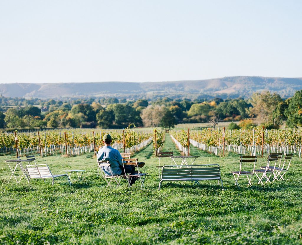 This Sussex winery flies a little further under the radar than some of its neighbours but its wines which include...