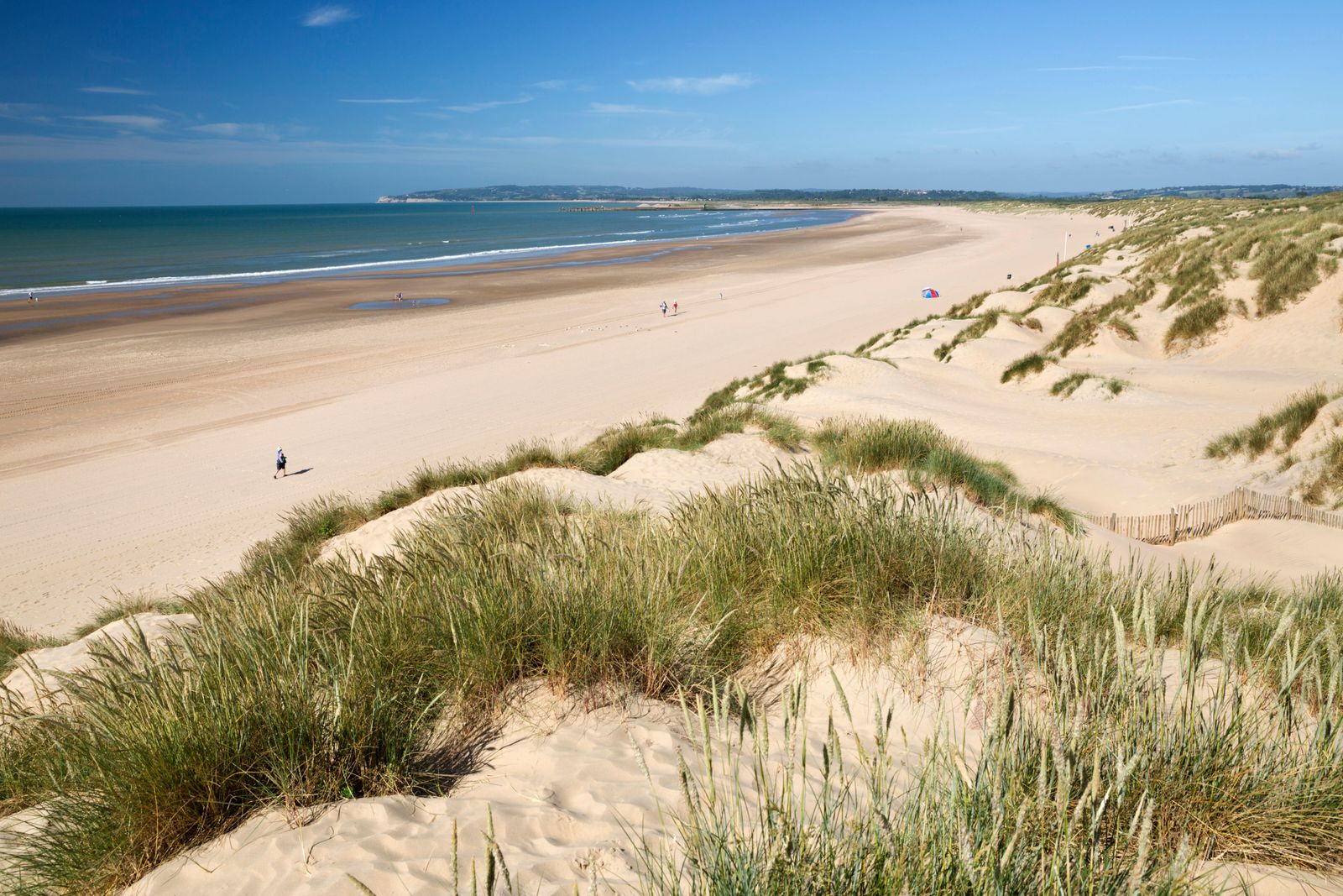 FC96WH Sand dunes and beach Camber Sands Camber near Rye East Sussex England United Kingdom Europe