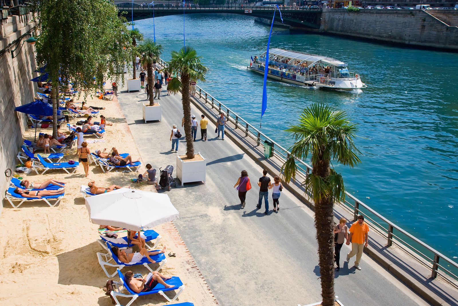 quotParis Plagequot in full swing.