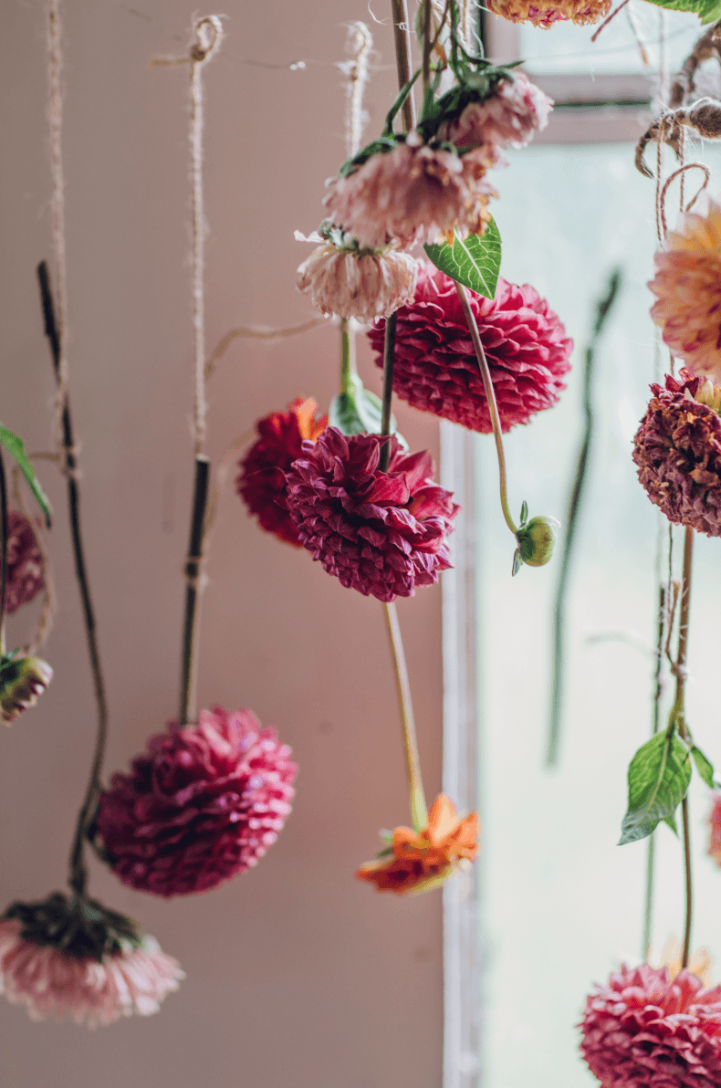 Five ways to make your flowers last longer by floral artist Bex Partridge