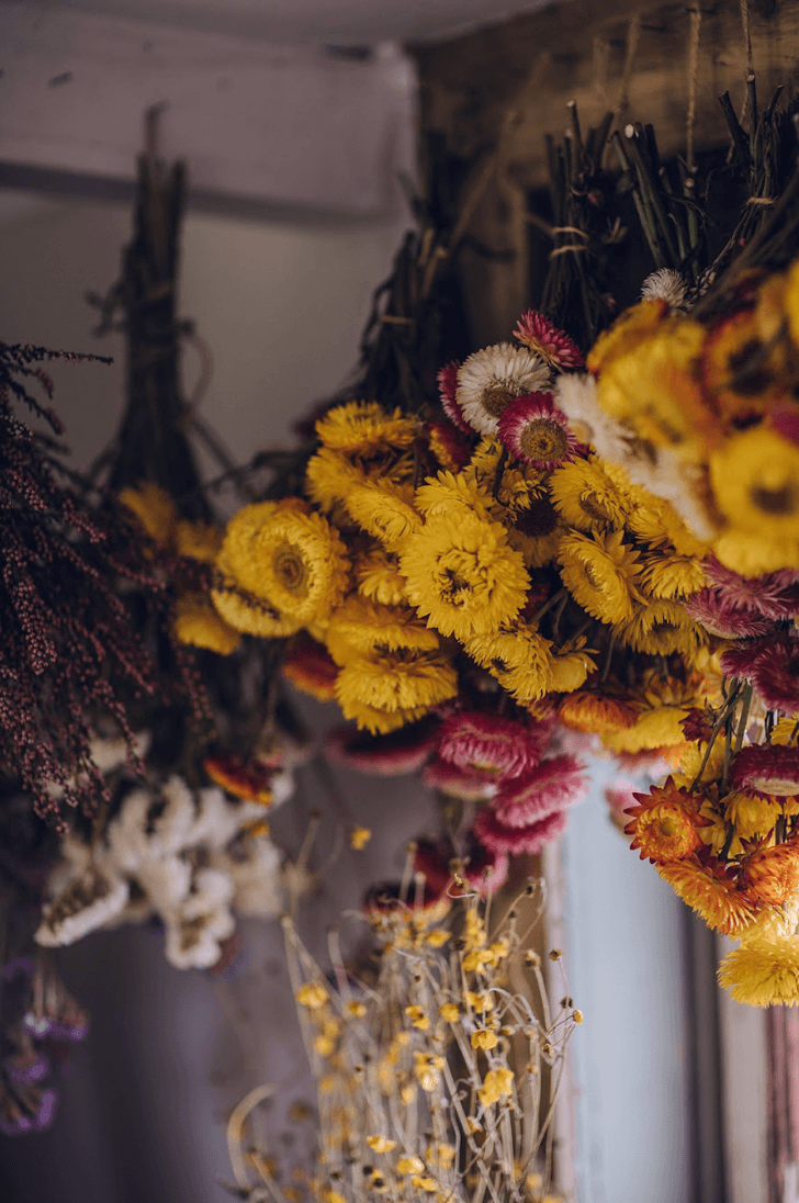 Five ways to make your flowers last longer by floral artist Bex Partridge