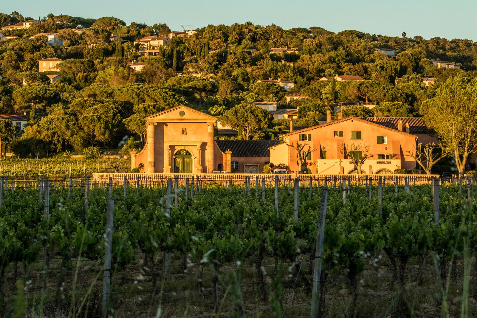 The Domaine Bertaud Belieu near Saint Tropez.
