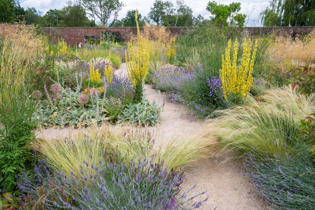 Gravel gardens are all the rage. This one at RHS Bridgewater Worsley is filled with drought tolerant plants including...