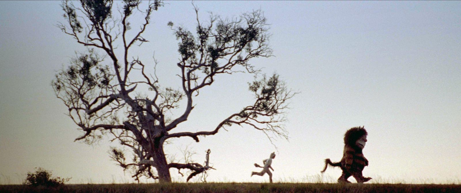 Where The Wild Things Are dir. Spike Jonze 2009.