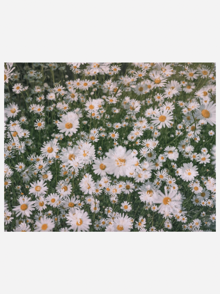 Get the look of Lucy Williams's stylish west London house