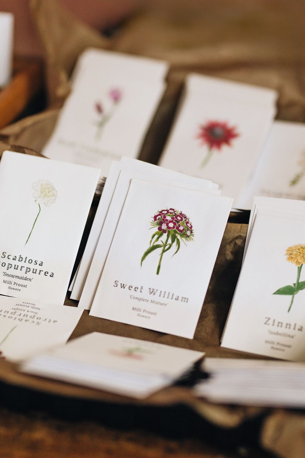 The packets of seed from Millis range feature her botanical watercolours.