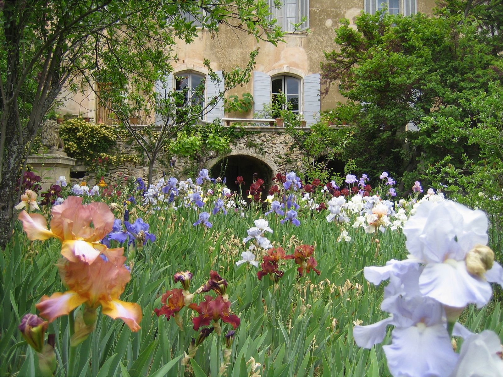The south face of the house where it is possible to see the repairs to the plaster made by MaryLou. In the foreground is...