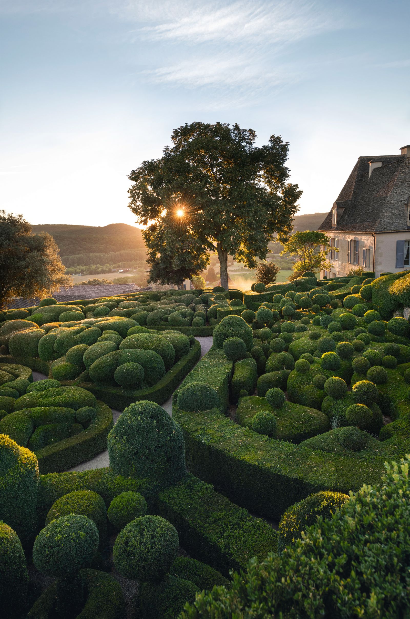 The winding paths beside the chateau weave their way between variously shaped pruned boxwood forms to the edge of the...