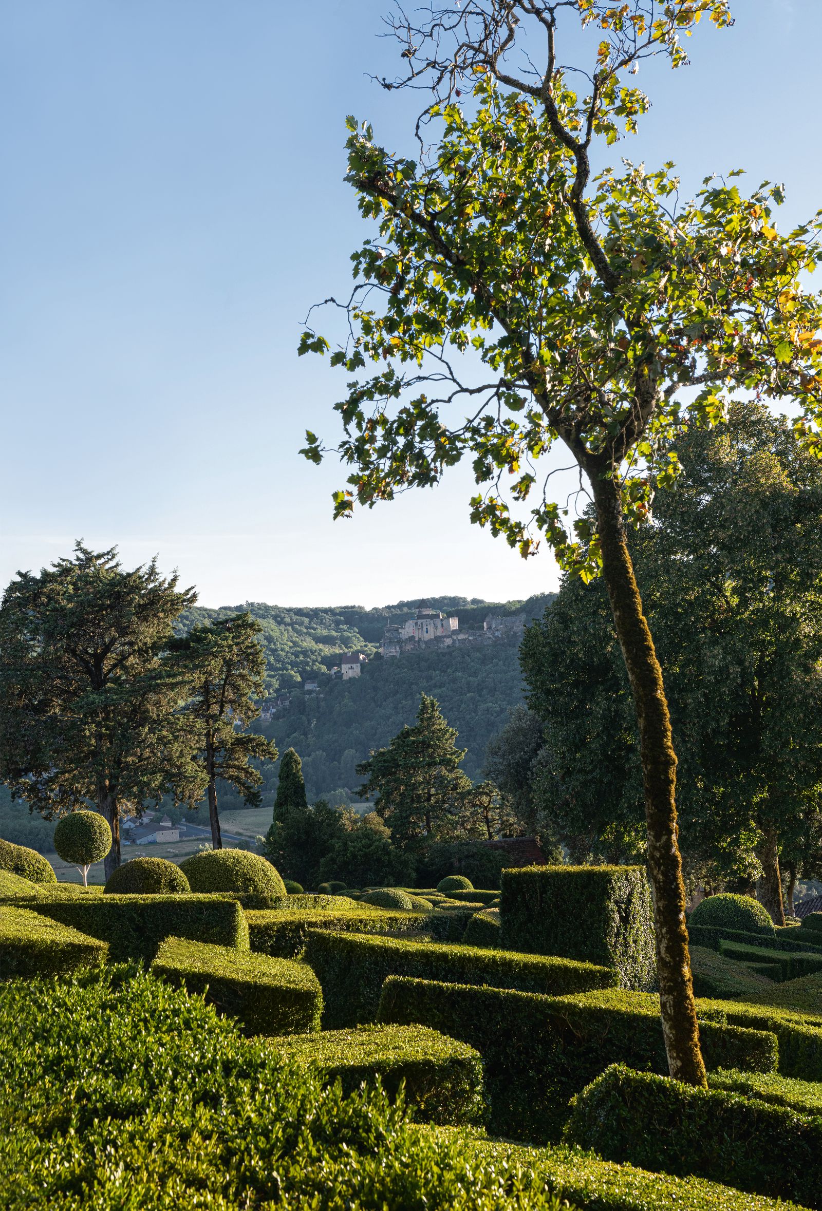 Created in the winter of 2003 the chaos de buis is a contemporary vision of topiary art in which large cubeshaped forms...