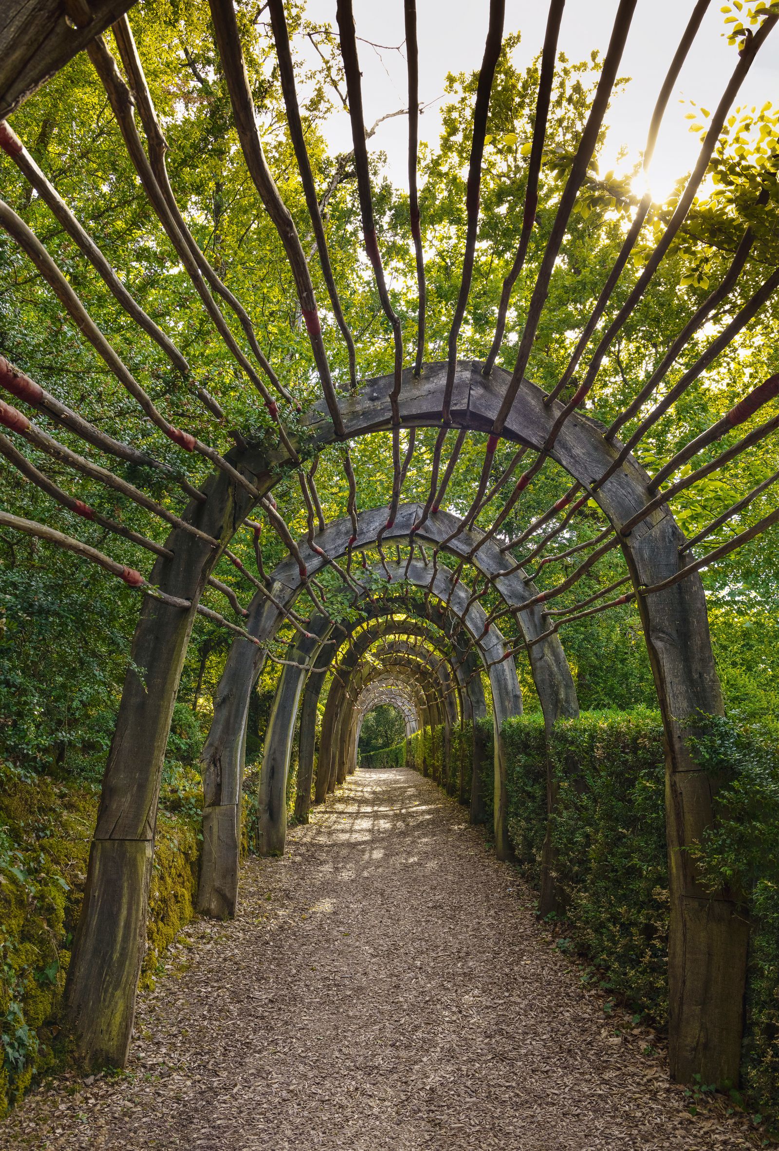 Created in 2009 as an extension of the centuryold boxwood tunnel by artist Grard Chabert the striking wooden Alle des...