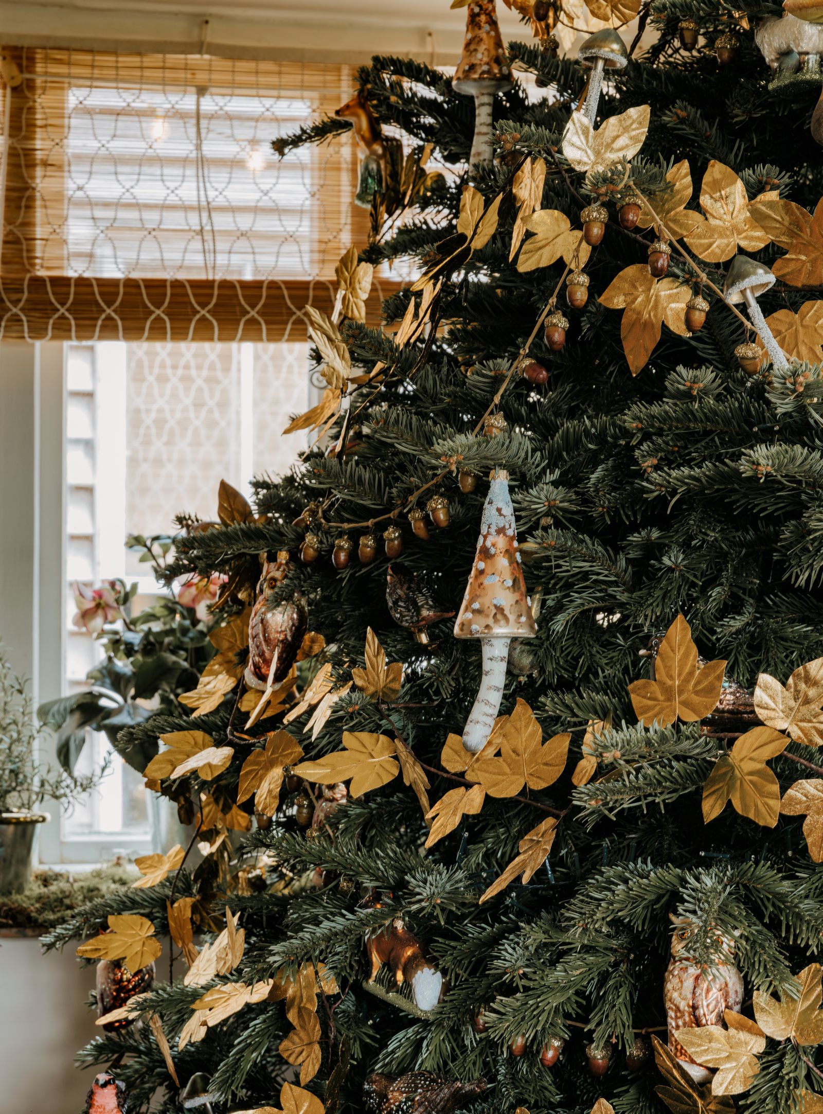 A woodland theme at Amanda Brooks' Cotswold guest house