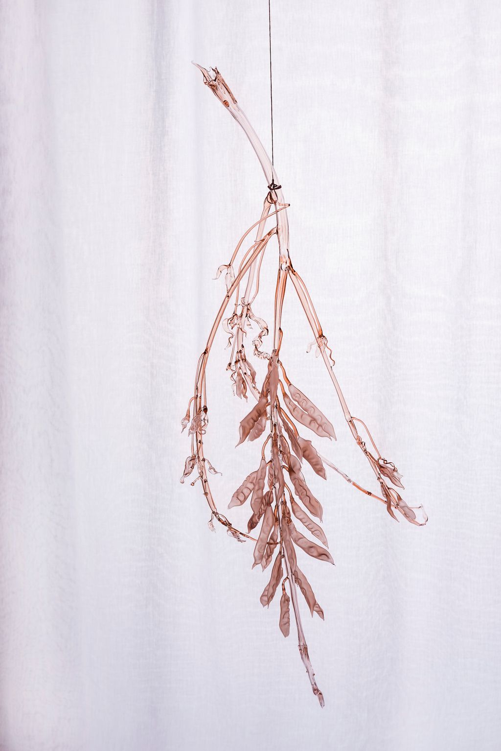 Image may contain Chandelier and Lamp