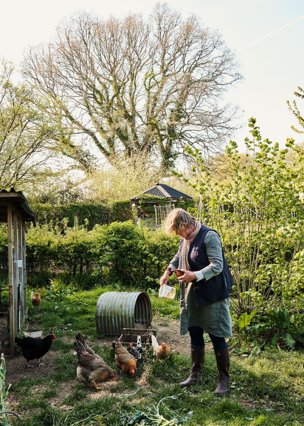 Image may contain Animal Bird Chicken Fowl Poultry Clothing Footwear Shoe Garden Nature Outdoors and Adult