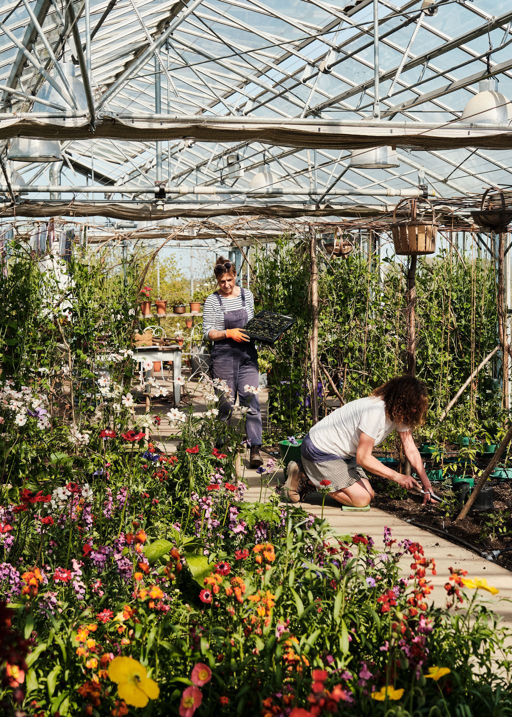 Image may contain Garden Nature Outdoors Gardening Plant Potted Plant Herbal Herbs Adult Person and Clothing