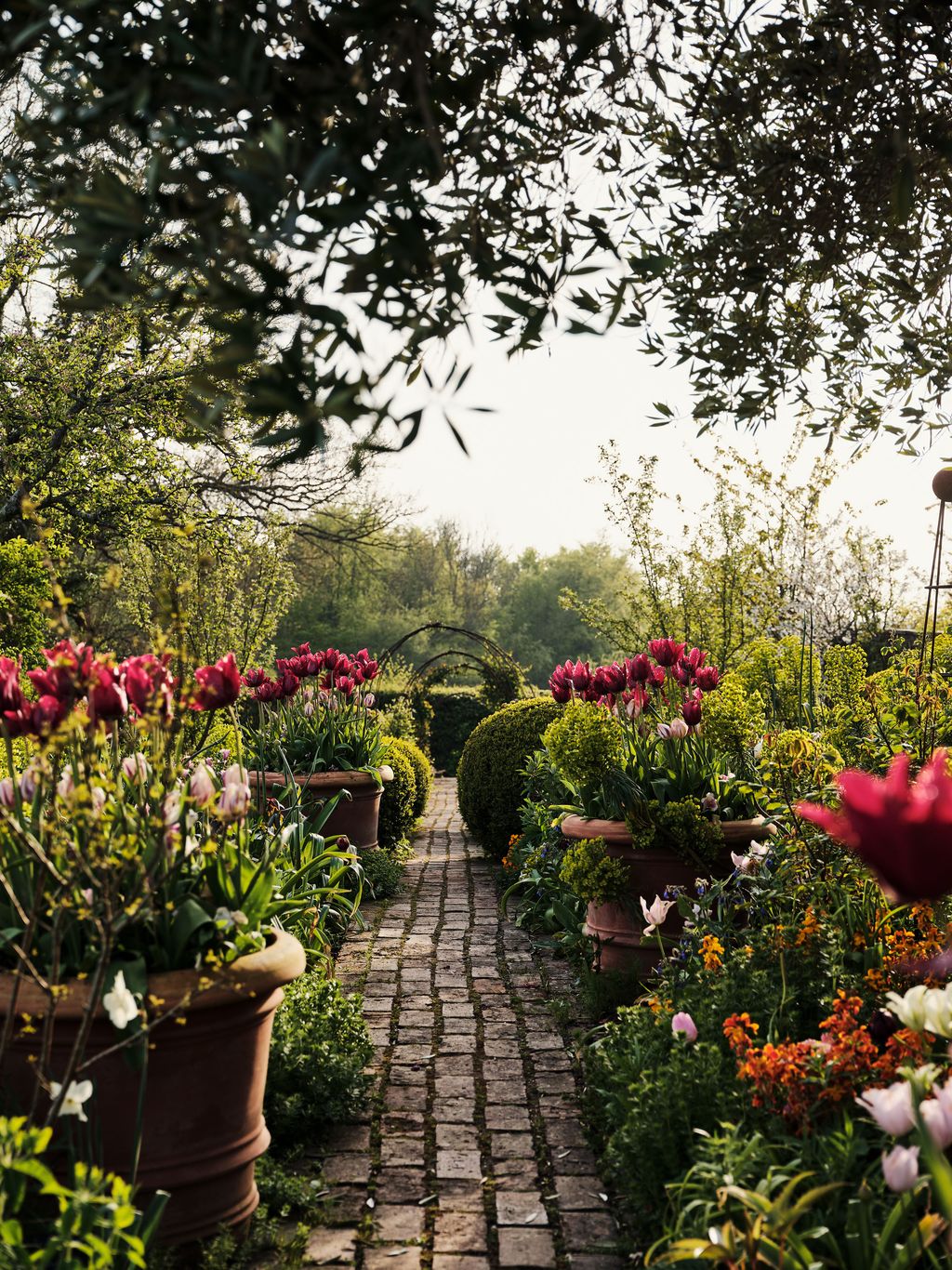 Image may contain Garden Nature Outdoors Plant Potted Plant Grass Park Jar Planter Pottery Vase and Path