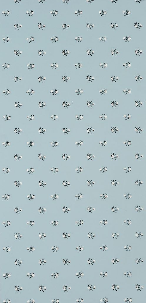 Image may contain Texture Animal and Flock