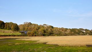 Image may contain Ground Countryside Farm Field Nature Outdoors Pasture Rural Land Scenery Grass and Plant