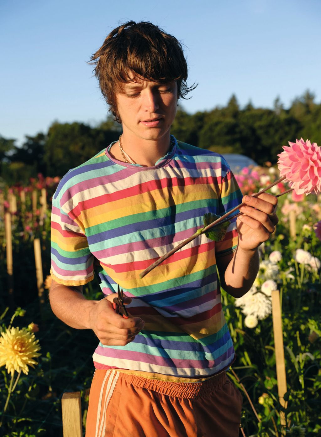 Image may contain Clothing Sleeve Adult Person Flower Petal Plant Dahlia Accessories Jewelry Necklace and Face