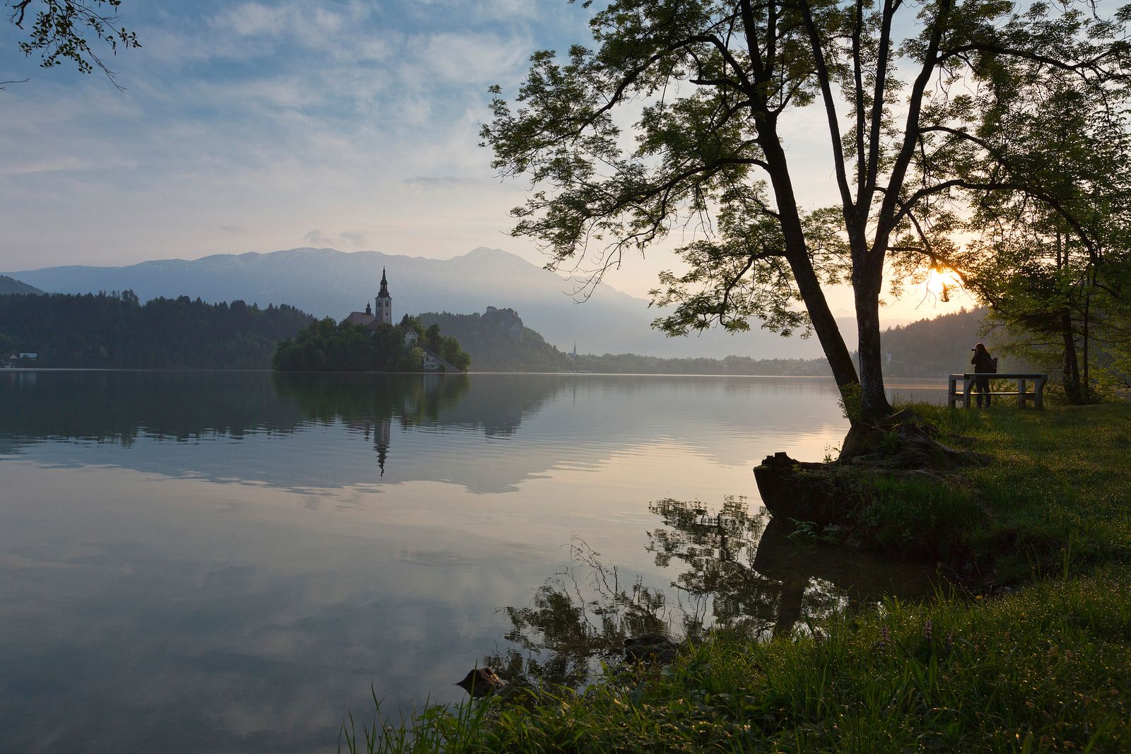 Image may contain Nature Outdoors Scenery Landscape Plant Vegetation Lake Water Tree Land Woodland and Grass