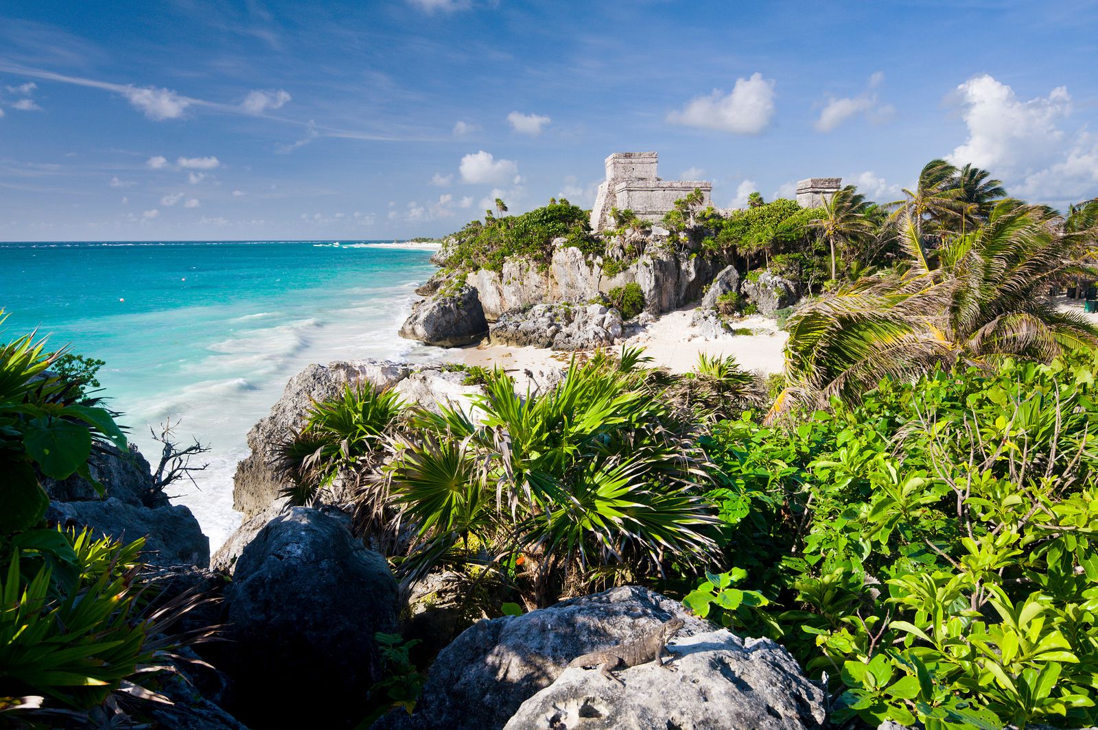 Image may contain Summer Rock Landscape Nature Outdoors Land Scenery Sea Water Plant Vegetation Sky and Beach