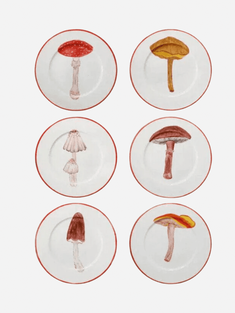 Image may contain: Fungus, Plant, Plate, Agaric, and Mushroom