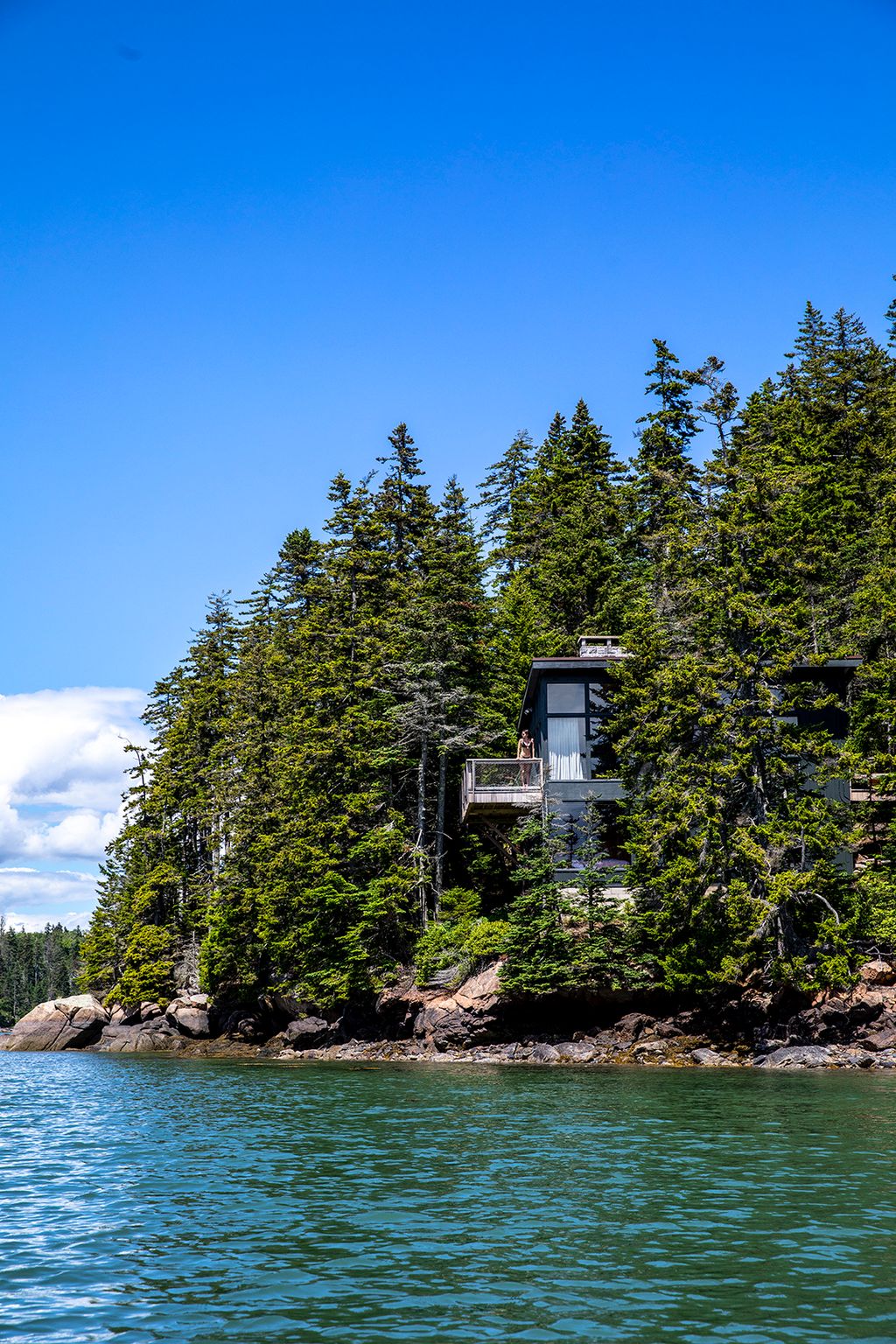 Image may contain Nature Outdoors Scenery Plant Vegetation Land Tree Person Fir Lake Water Sea and Lakefront