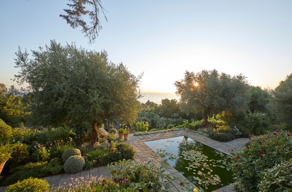 Image may contain Garden Nature Outdoors Backyard Yard Grass Park Plant Pond Water Vegetation Landscape and Pool