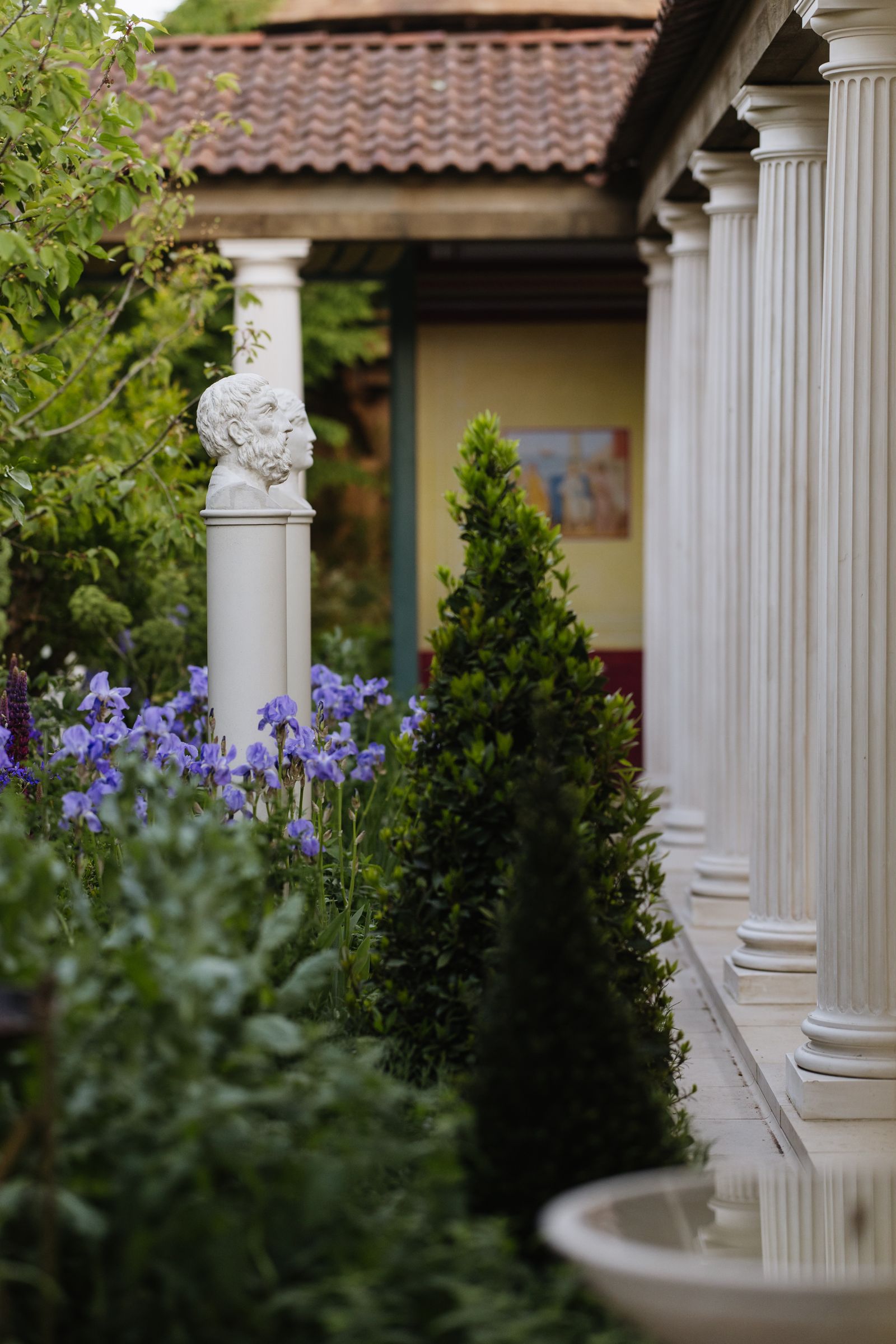 Image may contain Plant Potted Plant Tree Garden Nature Outdoors Fir Jar Planter Pottery Vase Adult and Person