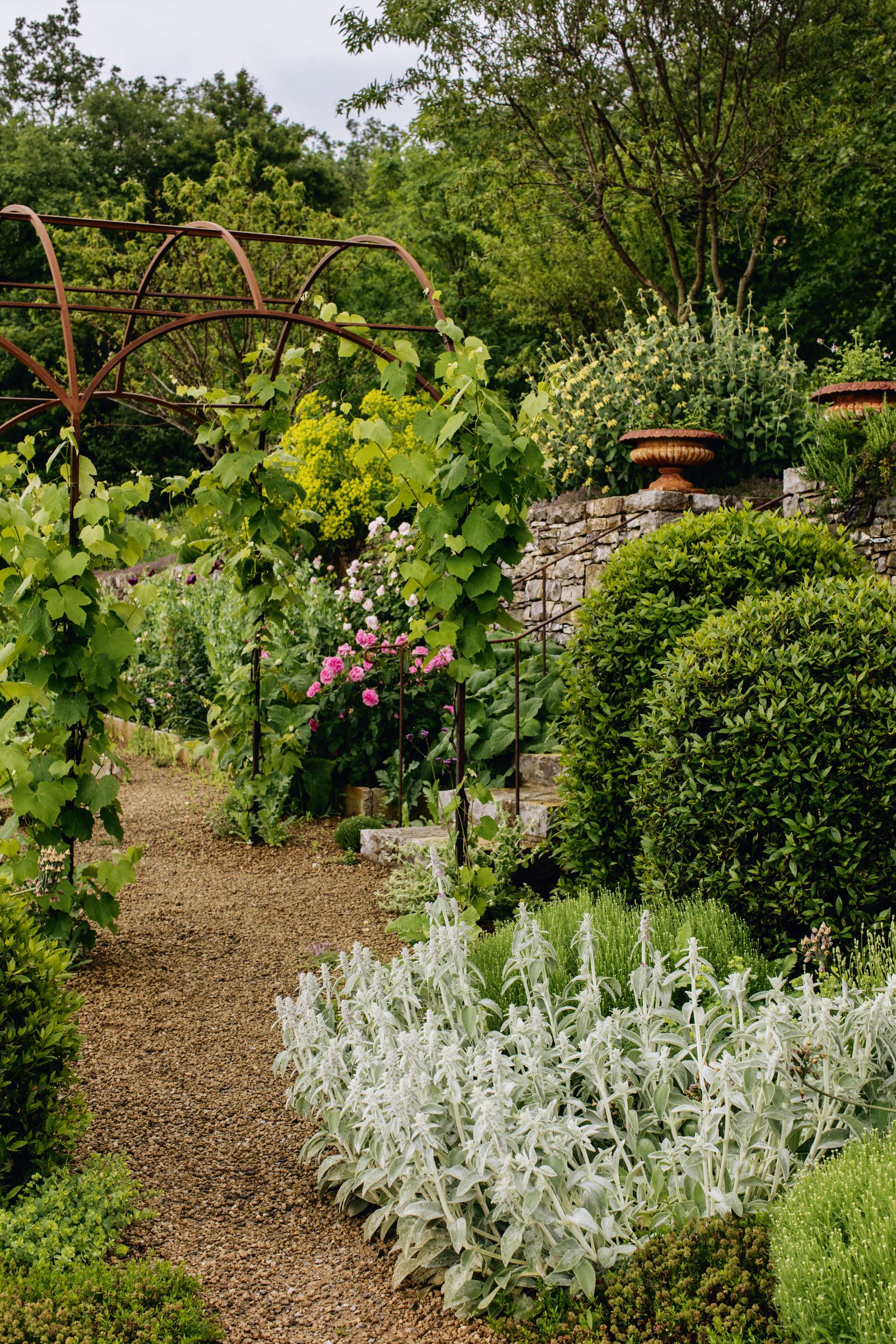 Image may contain Garden Nature Outdoors Arbour Plant Vegetation Herbal Herbs Jar Planter and Potted Plant