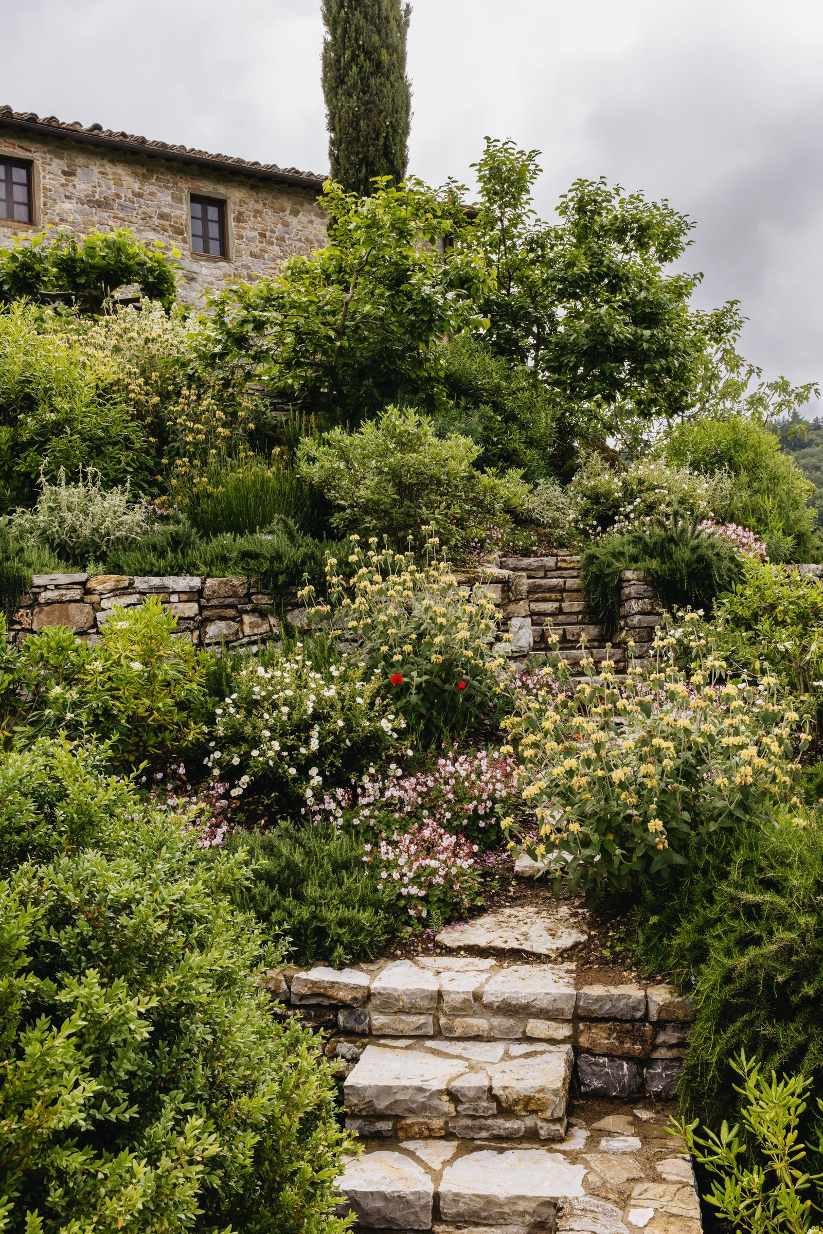 Image may contain Path Walkway Plant Vegetation Flagstone Garden Nature Outdoors Herbal Herbs and Rock