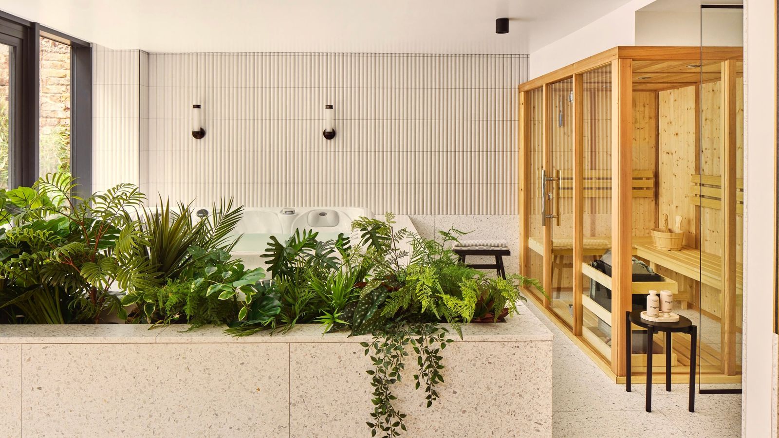 Image may contain Indoors Interior Design Floor Plant and Potted Plant