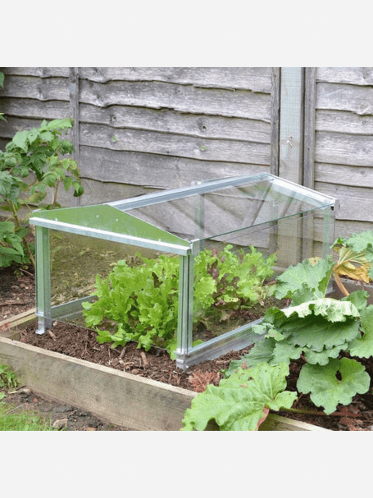 Image may contain: Garden, Nature, Outdoors, Gardening, Plant, Potted Plant, Food, Produce, and Soil