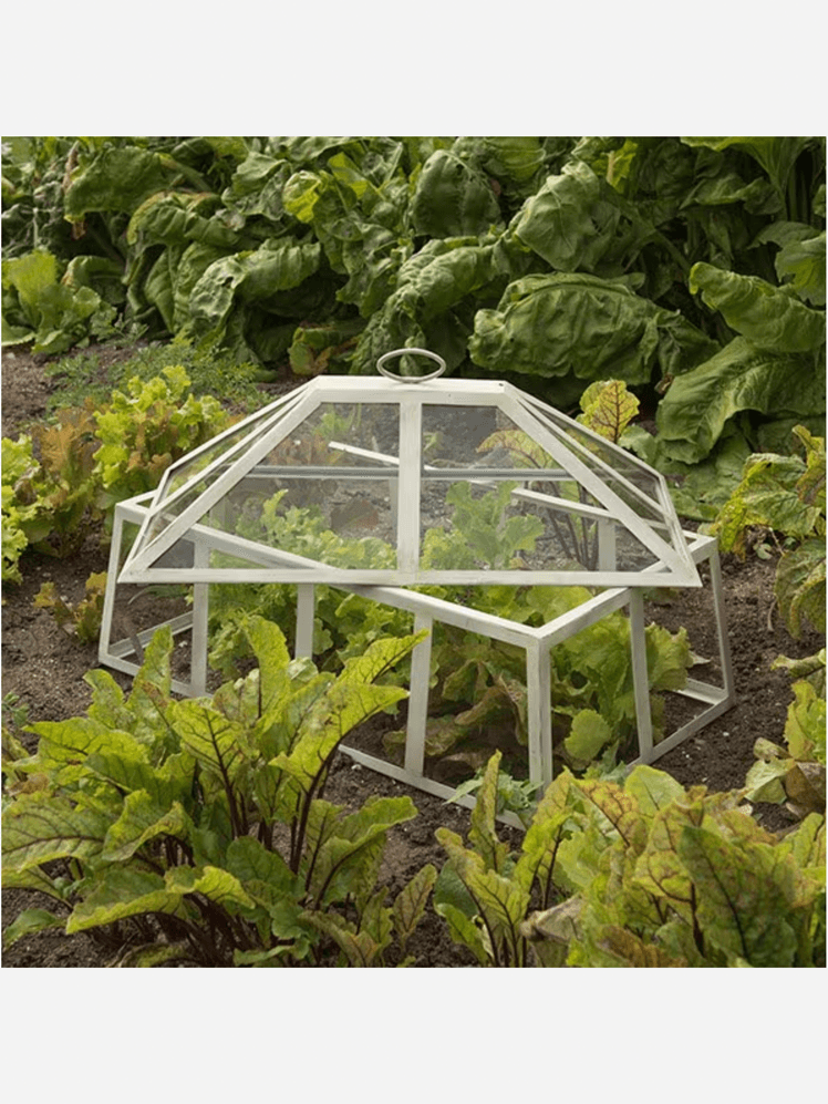 Image may contain: Garden, Nature, Outdoors, Gardening, Greenhouse, and Plant