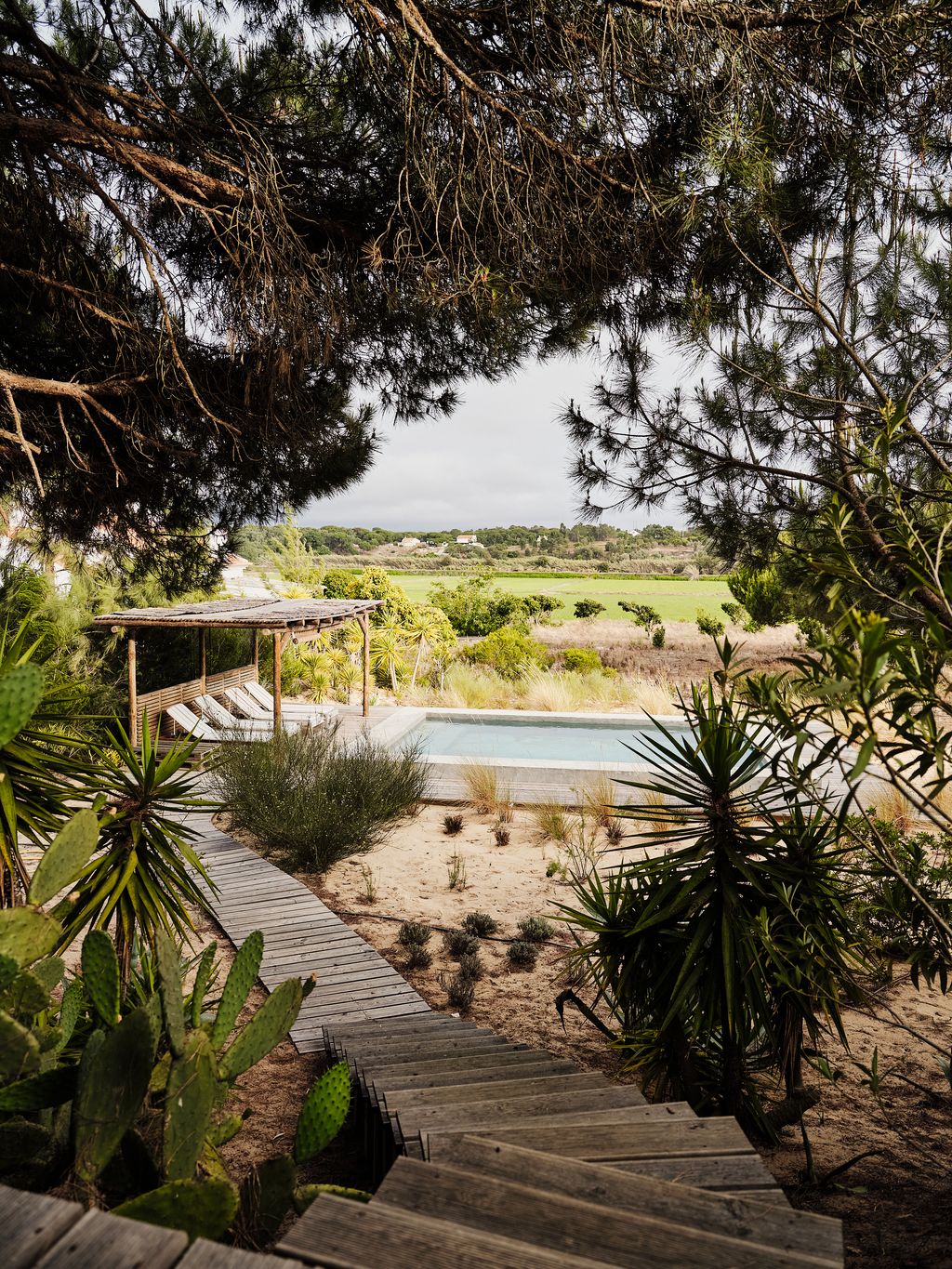 Image may contain Summer Water Waterfront Herbal Herbs Plant Garden Nature Outdoors Architecture and Building