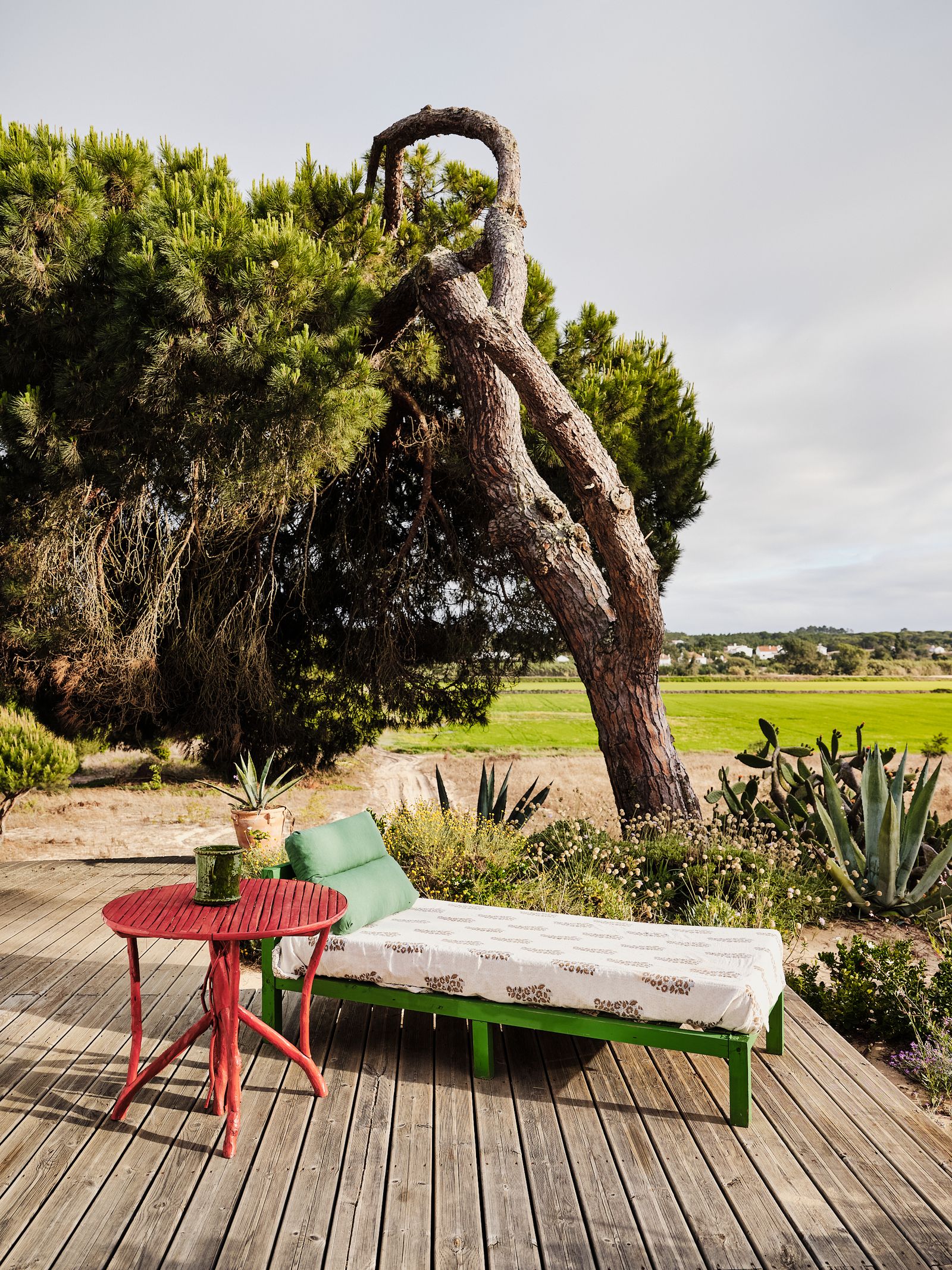 Image may contain Wood Desk Furniture Table Plant Bench Cup and Chaise