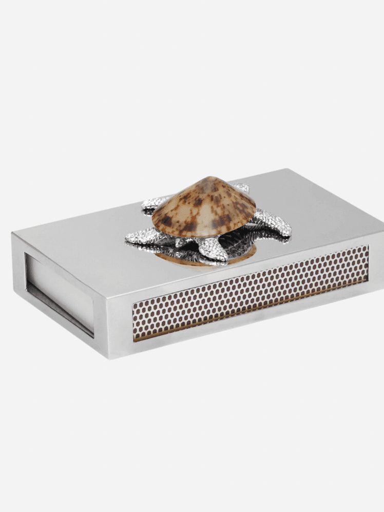 Image may contain: Animal, Reptile, Sea Life, Turtle, Furniture, and Table