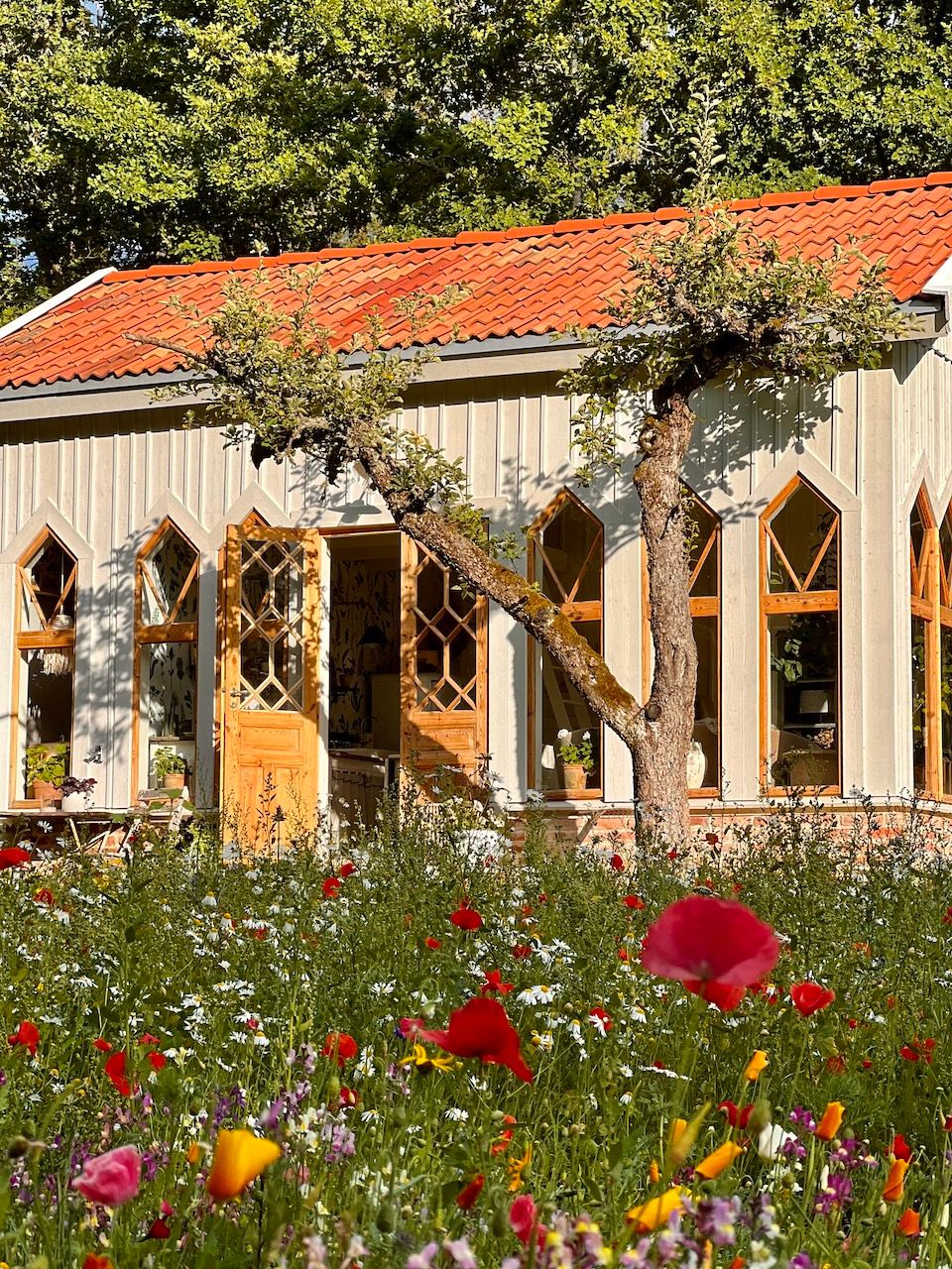 Image may contain Plant Home Damage and Window  Broken