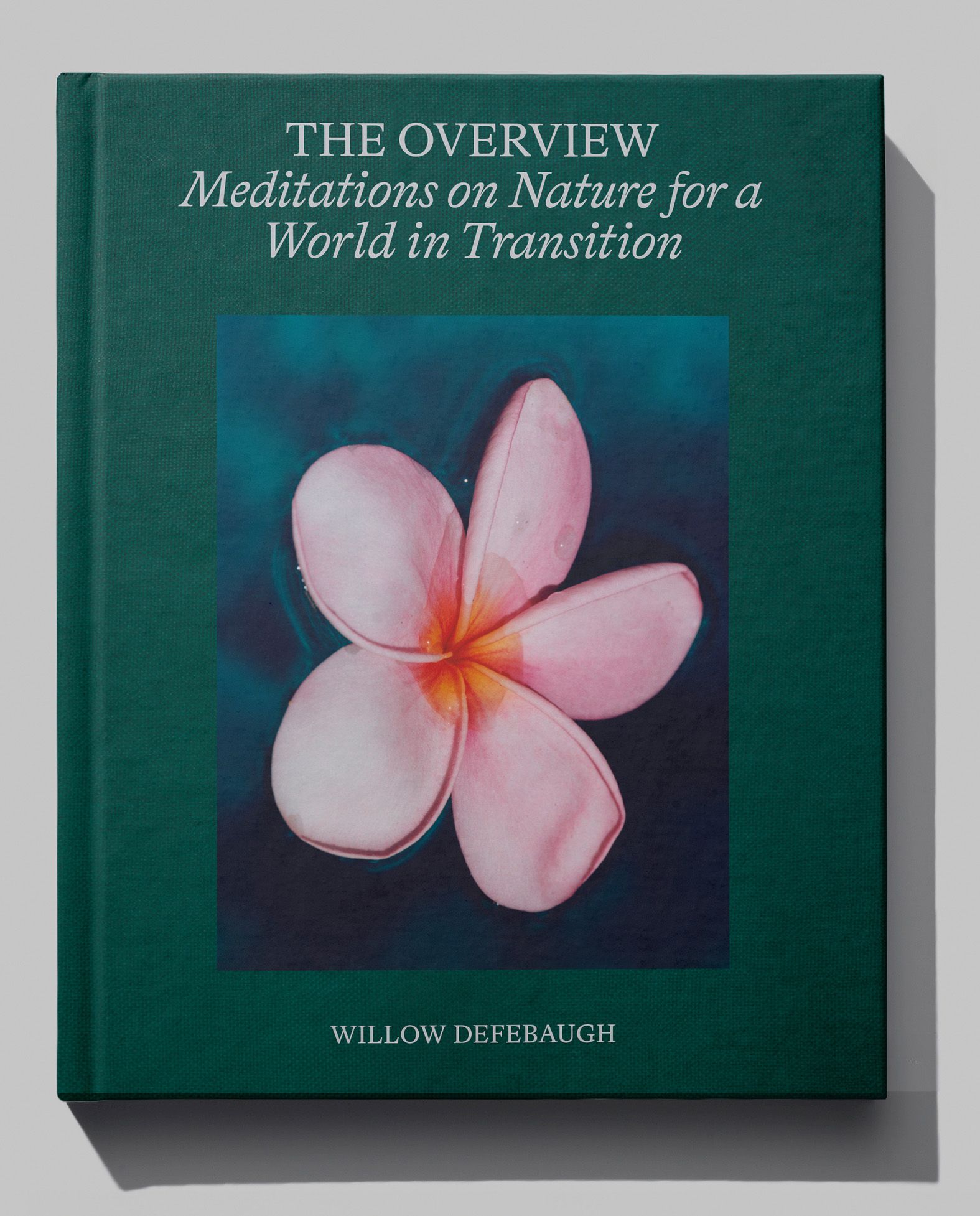 Image may contain Book Publication Flower Petal and Plant